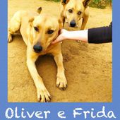 Frida e Oliver adozione di coppia, 6 anni 