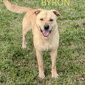 Byron: 2 anni taglia media 